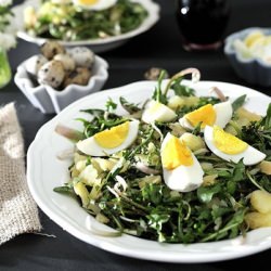 Spring Dandelion Leaves Salad