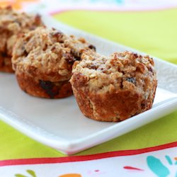 Yogurt Oatmeal Muffins