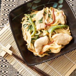 Yaki Udon