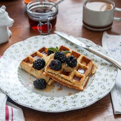 Chia & Flax Seed Waffles