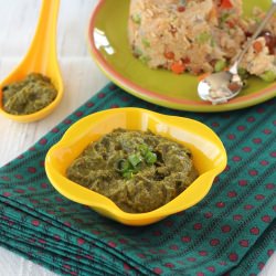 Spring Onion – Cilantro Chutney