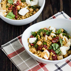 Kamut Margherita Salad