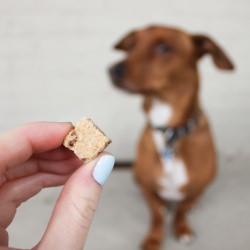 Beefy Dog Training Treats