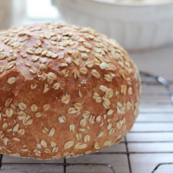 No-Knead Honey Whole Wheat Bread