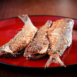 Fried Herring
