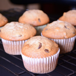 Raisin Chocolate Muffins