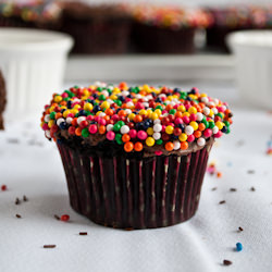 Chocolate Cupcakes with Sprinkles