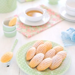 Madeleines au Citron
