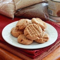 Mega Healthy Peanut Butter Cookies