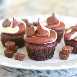 Peanut Butter Brownie Cupcakes