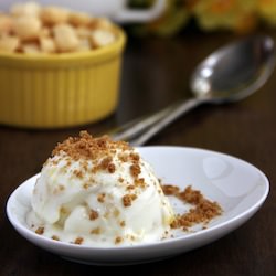 Pineapple Ginger Frozen Yogurt
