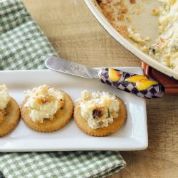 Jalapeno Popper Dip