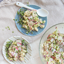 Radish + Apple Ceviche