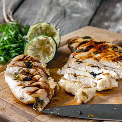 Margarita Chicken