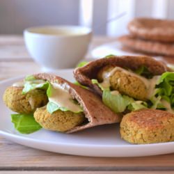 Falafel in Pita Bread