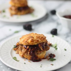Pulled Pork with Blackberry Sauce