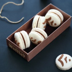 Milk Chocolate Praline Macarons