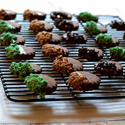 Dipped Chocolate Cookies