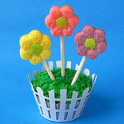 Daisy Cakes