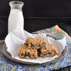 Blueberry Granola Bars