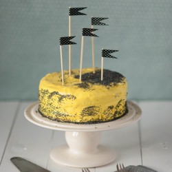 Lemon Poppy Seed Cake