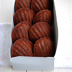Chocolate and Lemon Madeleines