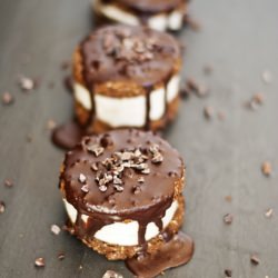 Homemade Unbaked Smores
