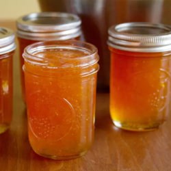 Tangy Grapefruit Jam
