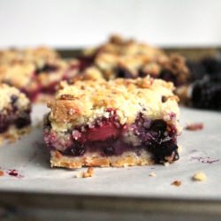Blueberry Crumble Granola Squares