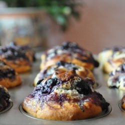 My Perfect Blueberry Muffin