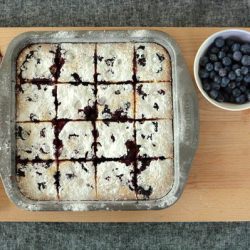 Coconut Lime Blueberry Slice