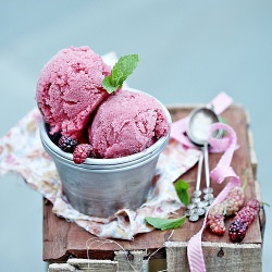 Mulberry Strawberry Sorbet & Jam