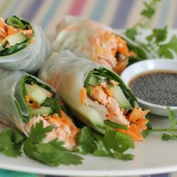 Spinach and Salmon Salad Rolls