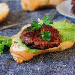 Vegetarian Burgers