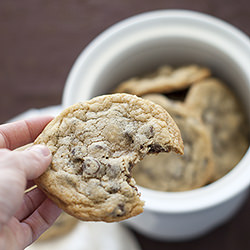 Secret Recipe Chocolate Chip Cookie