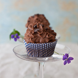 Chocolate Orange Cannoli Cupcakes