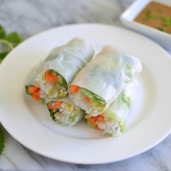 Fresh Avocado Spring Rolls