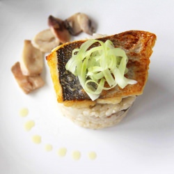 Golden Fillet of Sea Bream