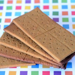 Paleo Graham Crackers