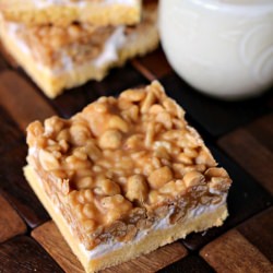 Salted Nut Roll Bars