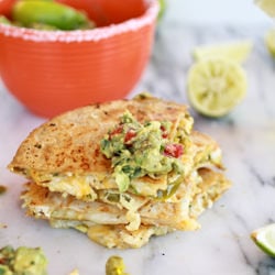 Margarita Chicken Quesadilla