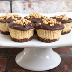 Mini Peanut Butter Cheesecakes