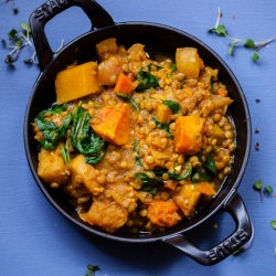 Curried Lentil & Squash Stew
