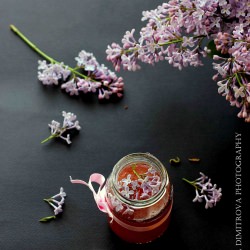 Lilac Jelly