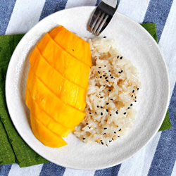 Mango Sticky Rice