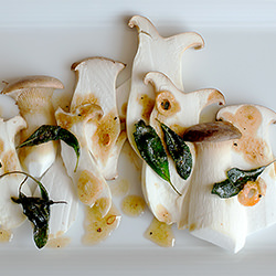 King Mushrooms