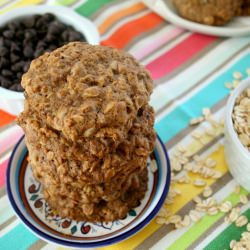 Oatmeal, Pecan & Chocolate Cookies