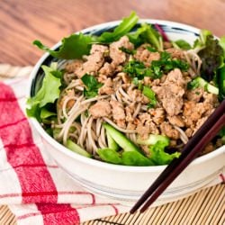 Asian Turkey Noodle Salad