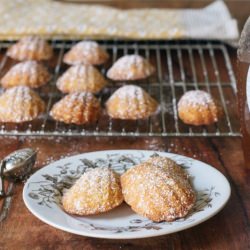 Honey Madeleines