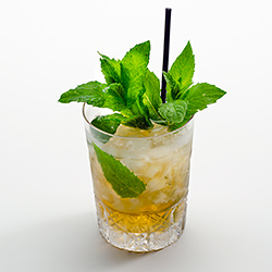 The Mint Julep